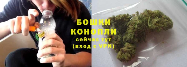 стафф Богданович