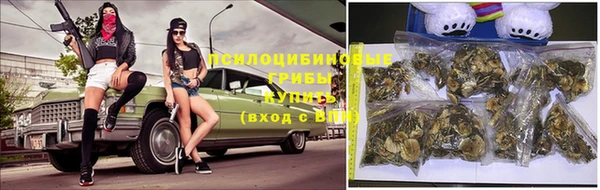 apvp Бородино
